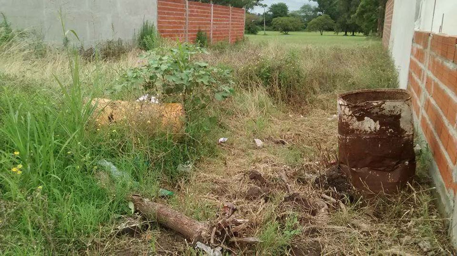 Intimaron y multaron a más de 190 dueños de terrenos baldíos descuidados