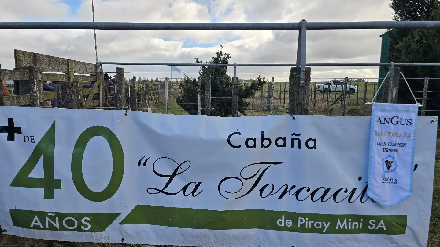 torca-dia-c
