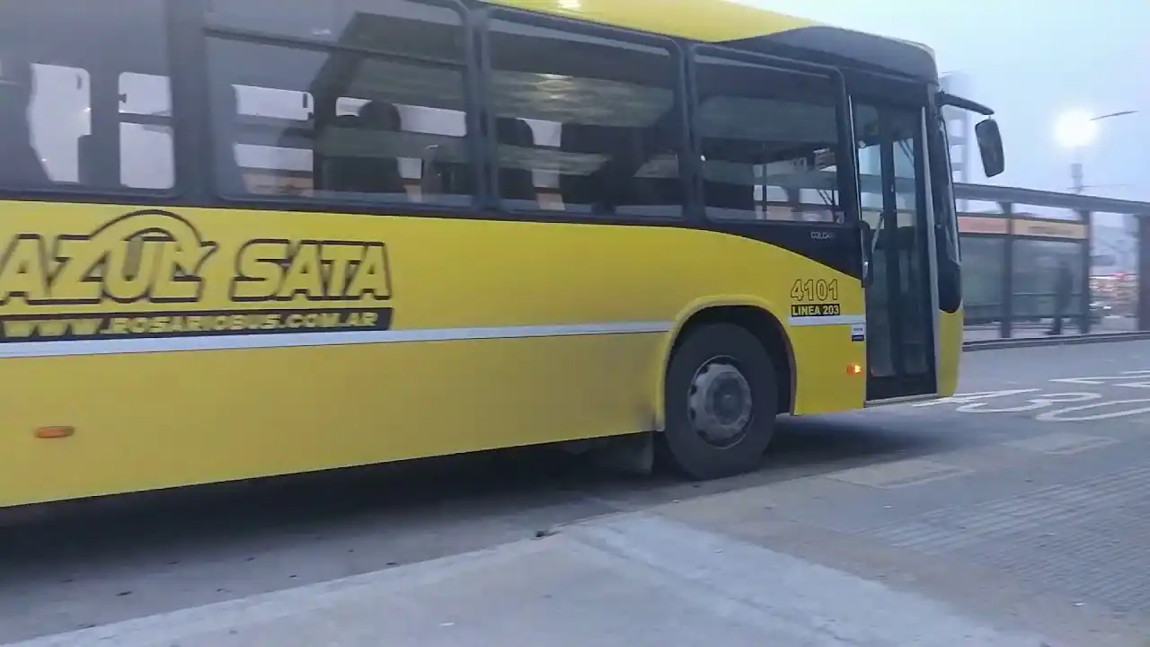 Esperaba el colectivo junto a su mamá, cuando salió corriendo hacia la calle detrás de su pelota y murió atropellado