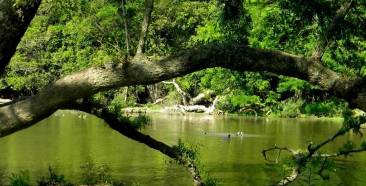 Le dispararon a una mujer para robarle su bicicleta en el Parque Pereyra Iraola