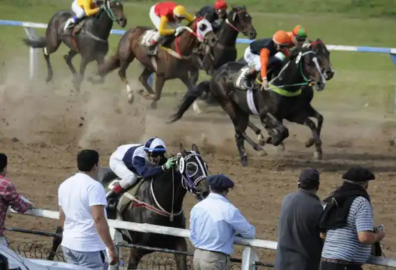 Tras la muerte de un caballo en plena carrera, activistas expresaron su repudio