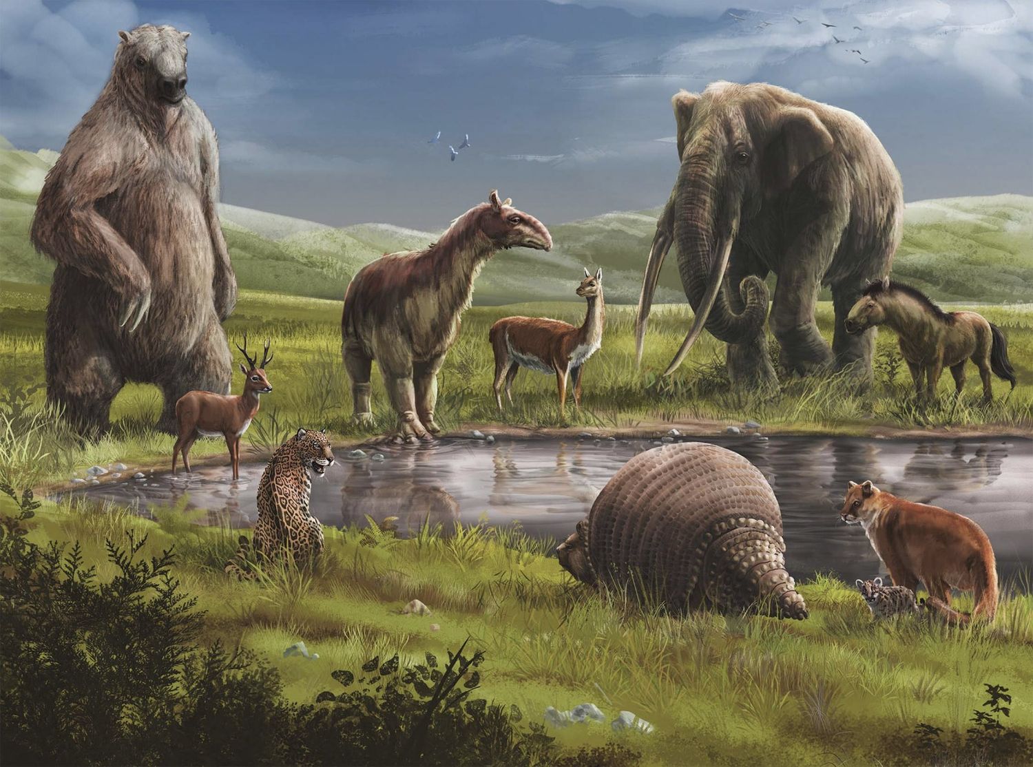 arqueologo megafauna - 1