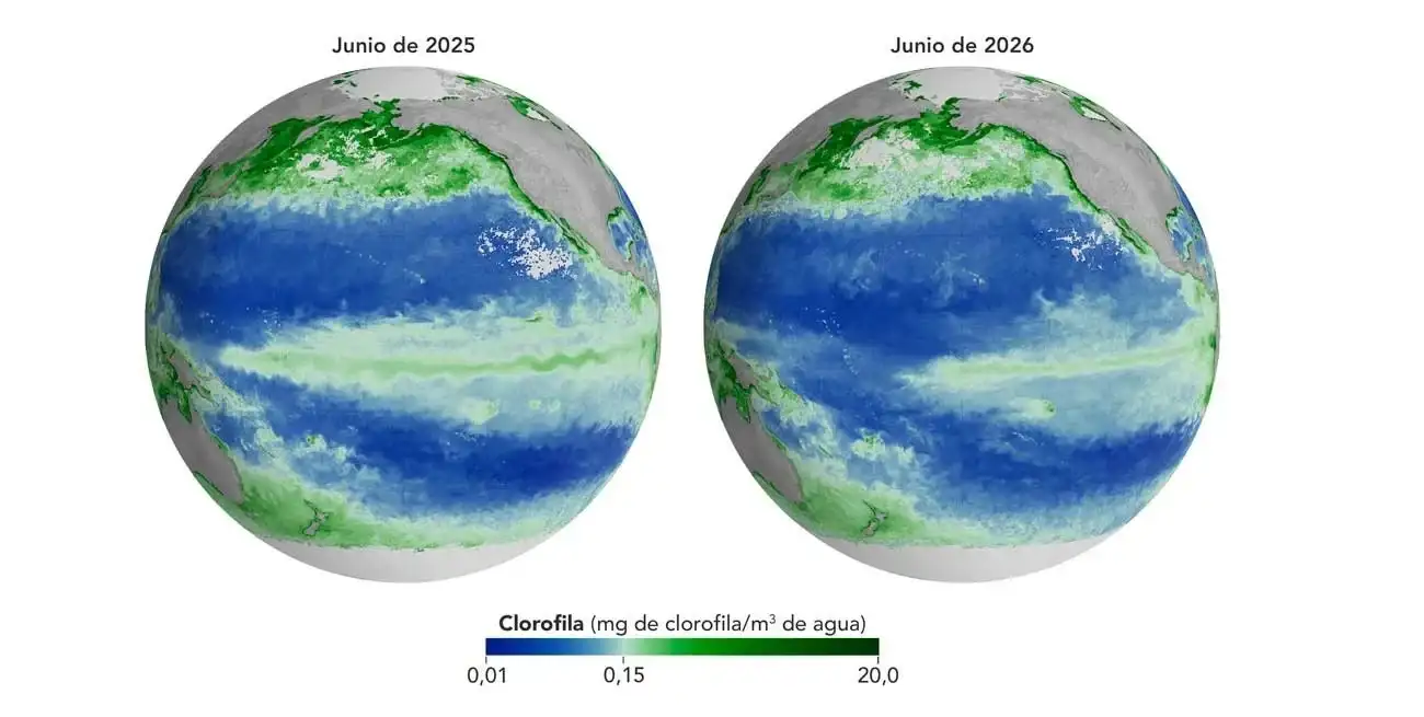 La NASA compartió un nuevo informe vinculado al fenómeno climático. Gentileza