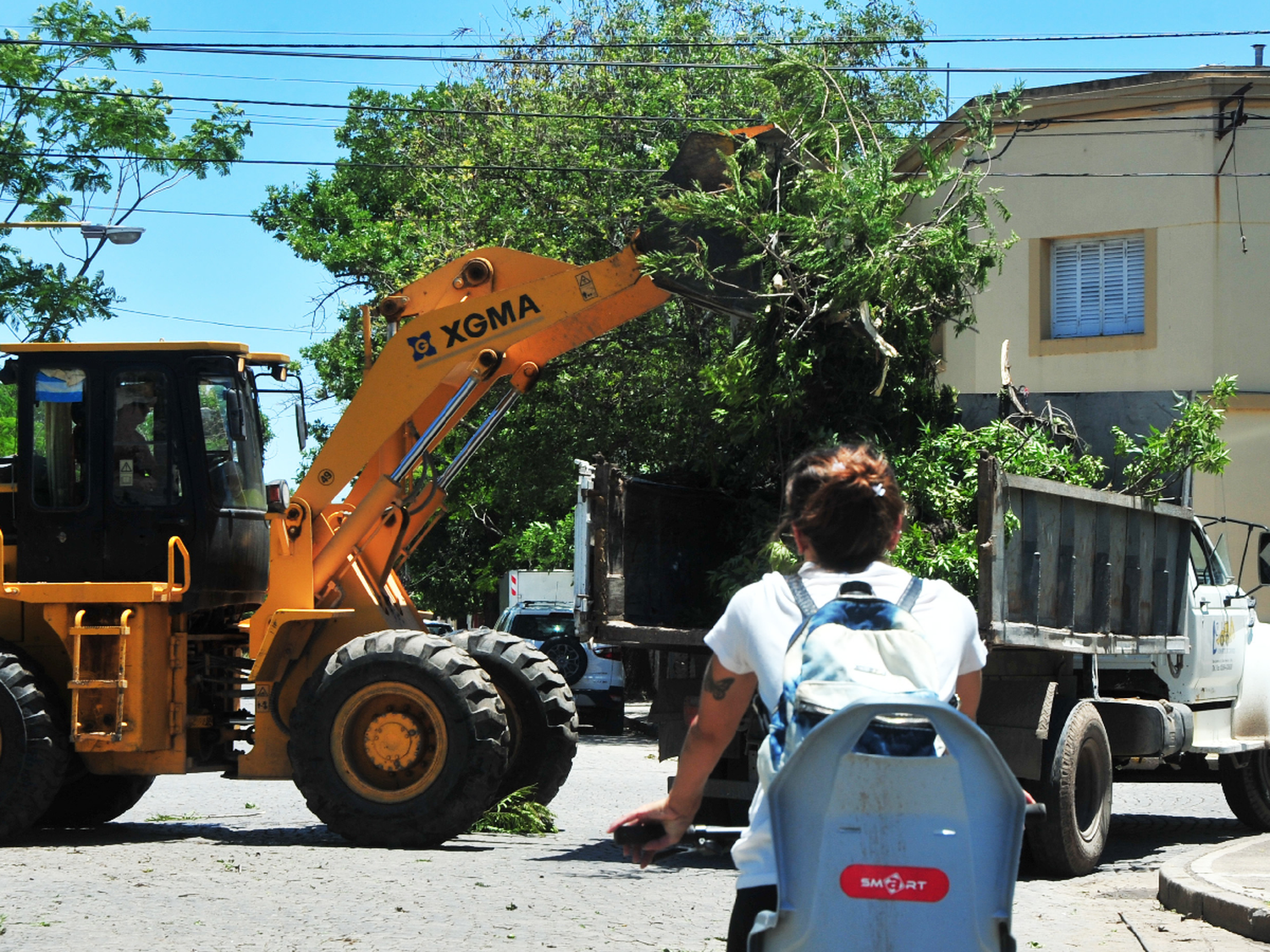 Violento temporal: aseguran que “el grado de catástrofe ya fue superado”