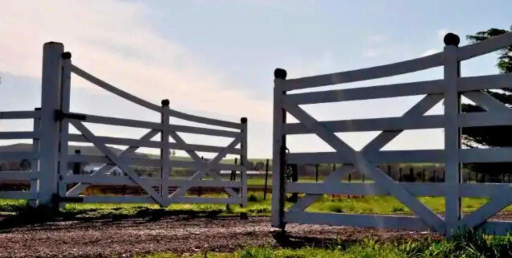 Escasez de oferta y demanda sostenida: el balance del mercado inmobiliario rural en el segundo semestre de 2025