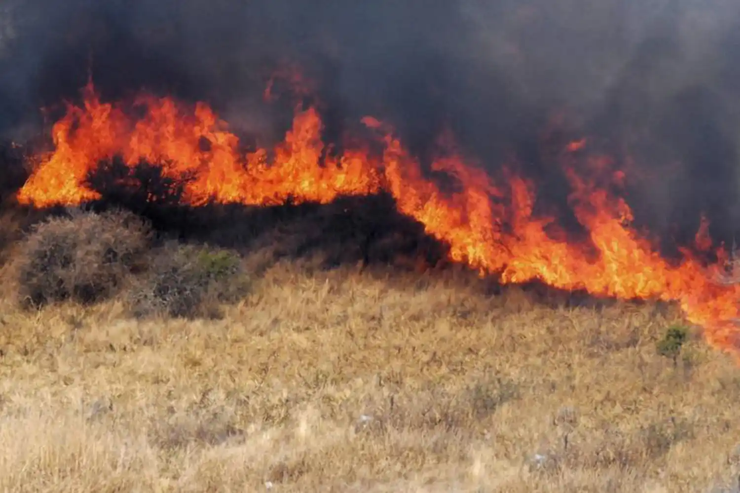 Entre Ríos y San Luis registran focos activos de incendios