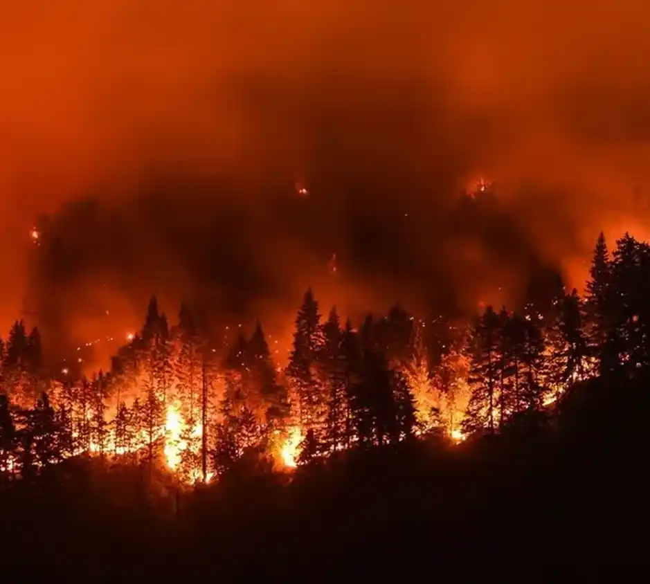 California: un incendio forestal arrasó más de 800 hectáreas. Foto Agencia NA/Redes
