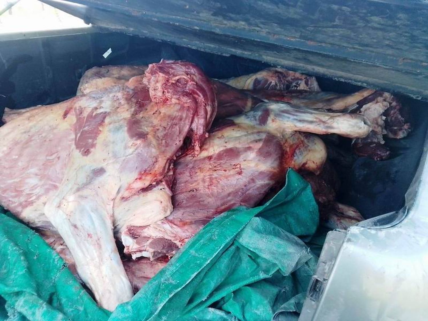 En dos procedimientos la UEAR secuestró 419 
kilos de carne transportados sin cadena de frío