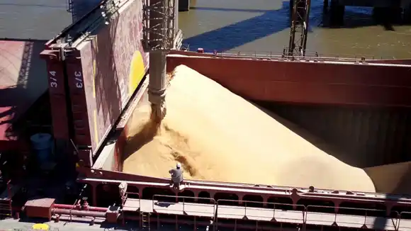 El Gran Rosario consolida su liderazgo global como nodo exportador de alimentos