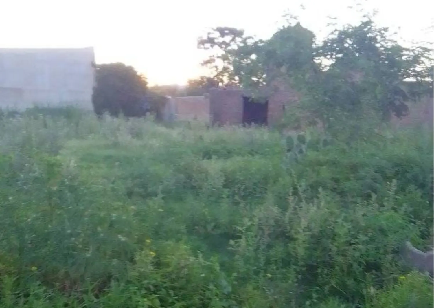 Vecinos se quejan por la falta de limpieza en un terreno de Quiroga y Javier Rivero