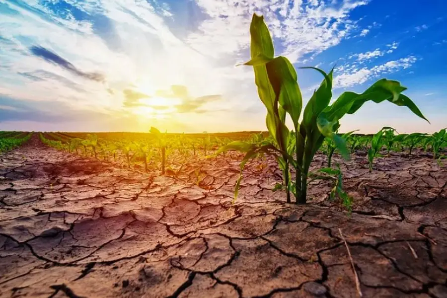 Alertan sobre un nuevo fenómeno climático de “La Niña”: ¿cuándo retornaría la sequía?