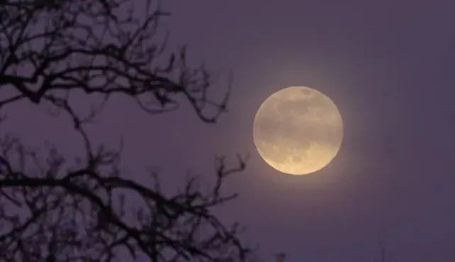 Una microluna llena se podrá apreciaren el cielo.