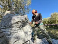 Comenzaron a tallar figuras de la fauna autóctona en el Parque Escultórico de Sierra del Tigre