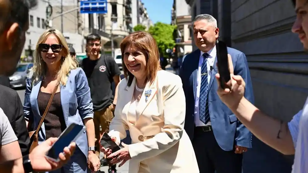 Bullrich en el Senado