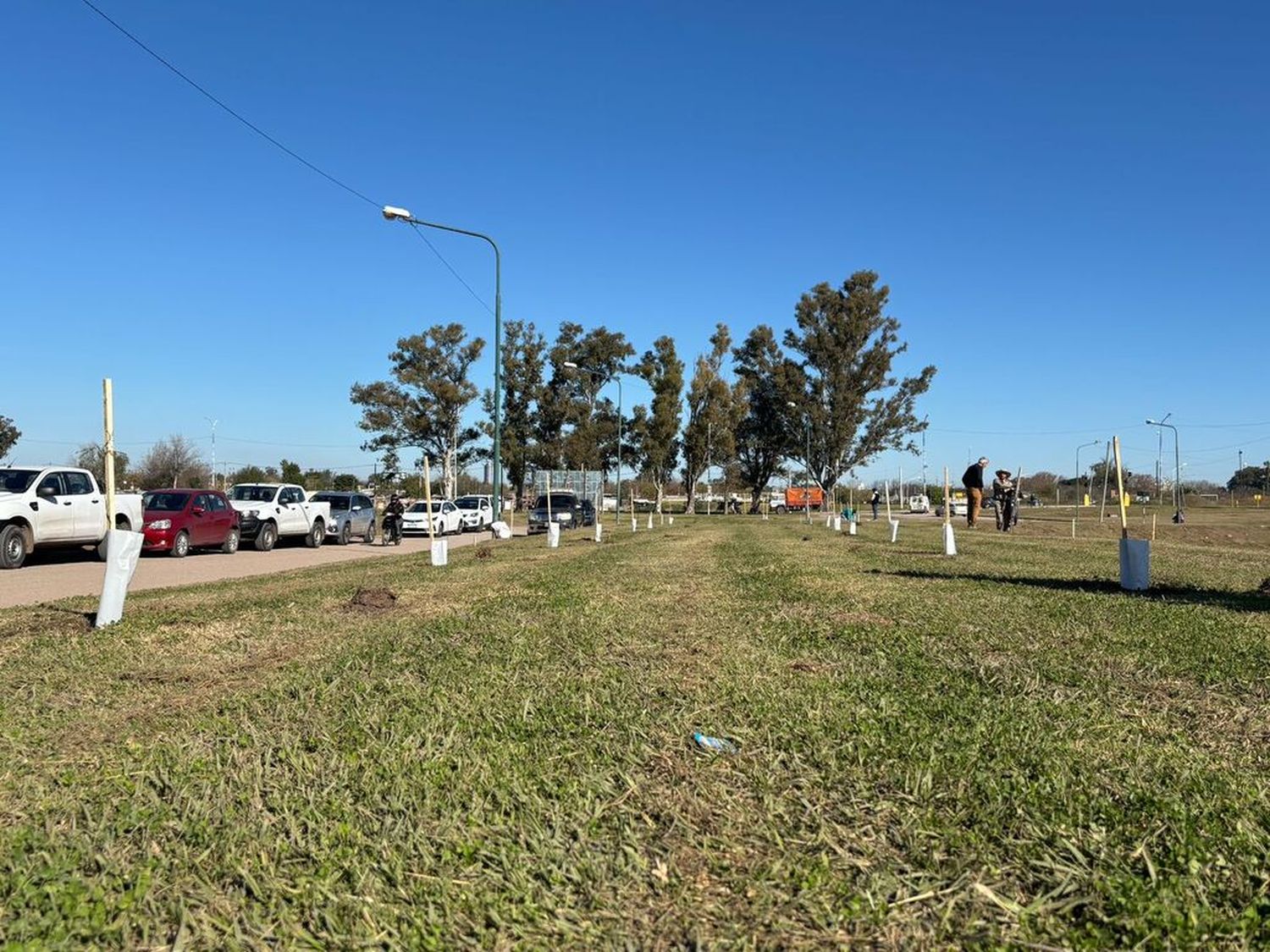Instituciones Sustentables y Saputo plantaron 200 árboles