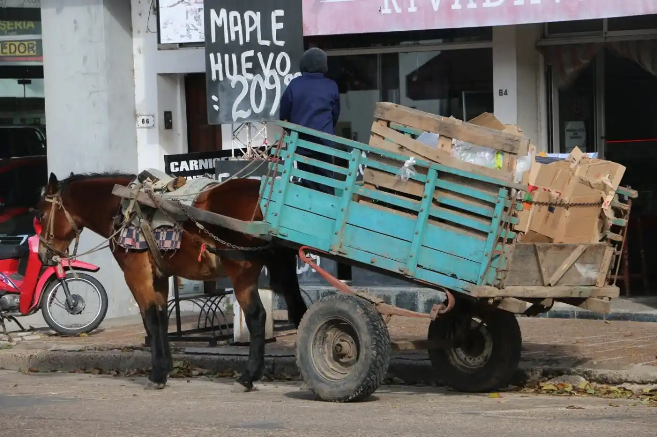 Cómo viven los que cartonean y cirujean en tiempos de pandemia y con restricciones