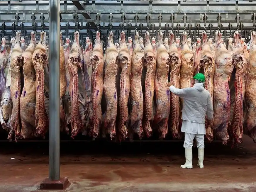 A partir de agosto, Brasil enfrenta un arancel final del 76,4 % para ingresar al mercado norteamericano.