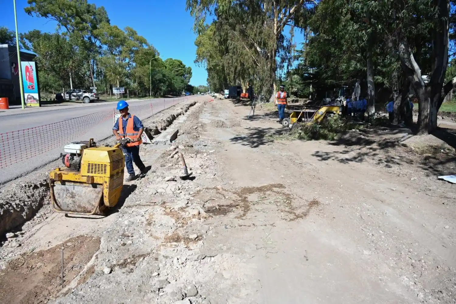 Vecinos de Bahía Blanca se oponen a la tala de eucaliptos y abrazan a los árboles en medio de la obra municipal
