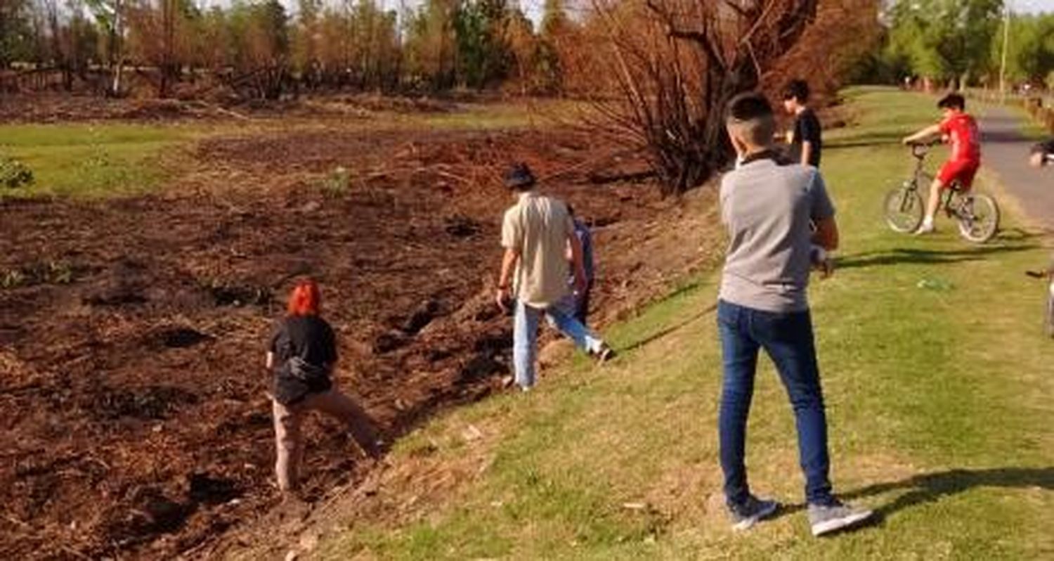 Incendio en el paseo: Jóvenes sofocaron el fuego
