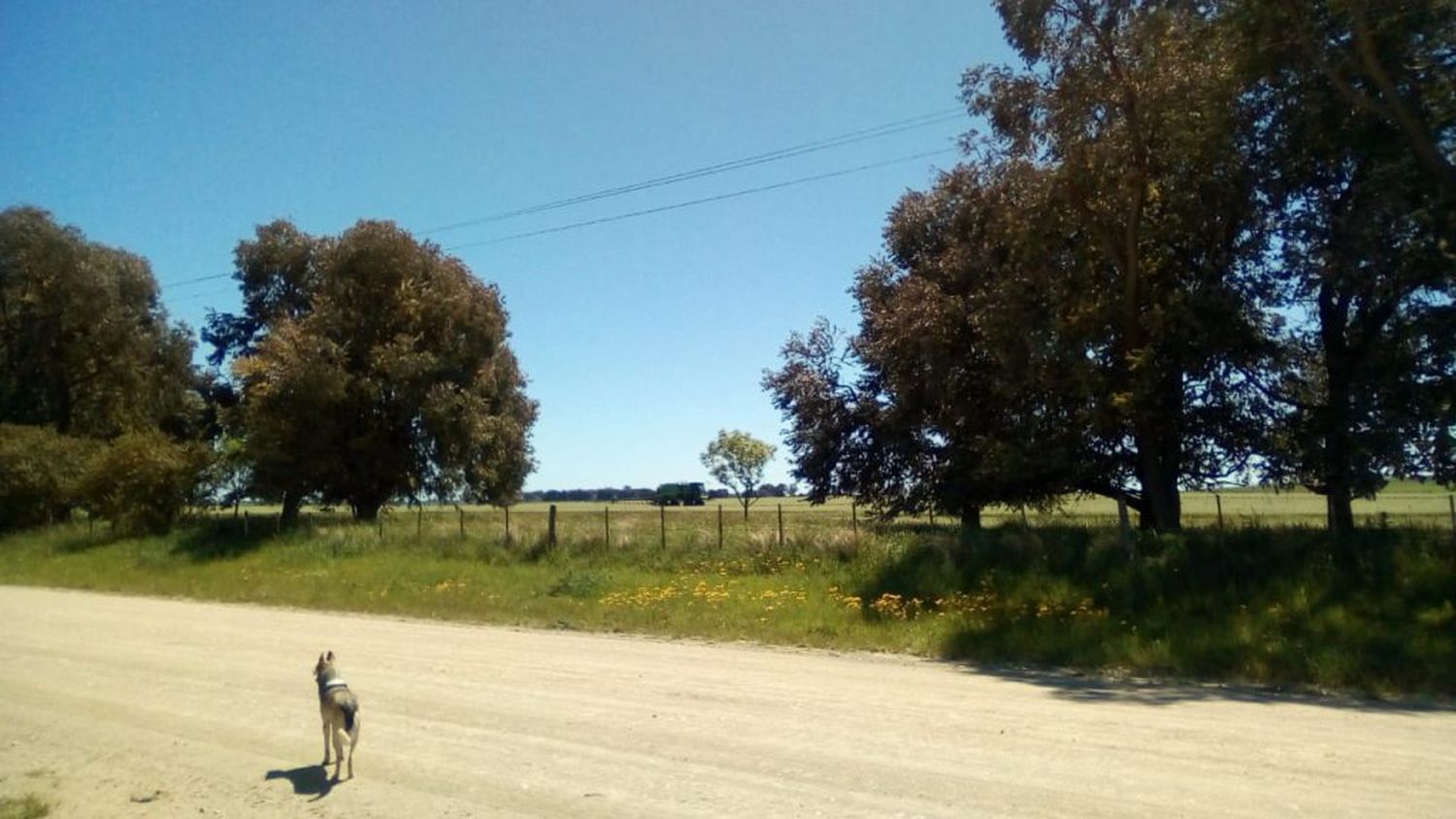 La Defensoría del Pueblo bonaerense pidió al Municipio que fiscalice la aplicación de agroquímicos en Gardey