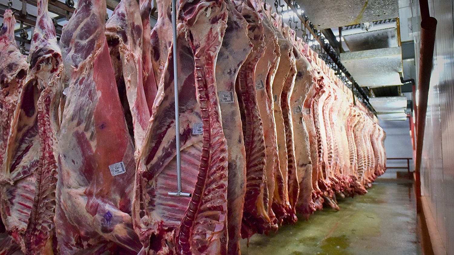 En los últimos 45 días  el precio de la carne aumentó un 100 %