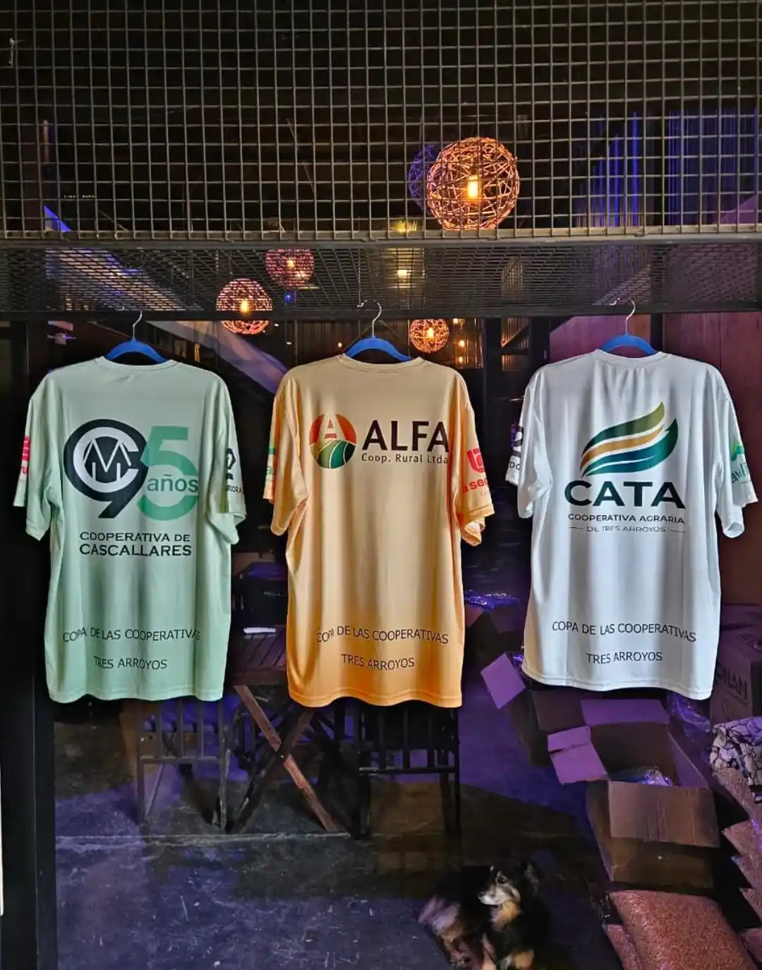 Las cooperativas del agro festejan su día a los paletazos