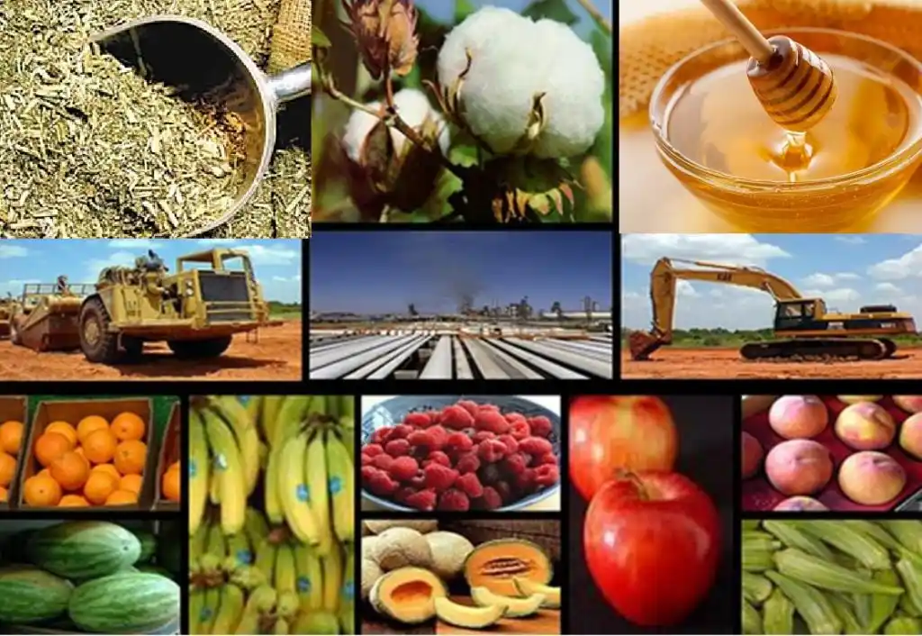 Aún resta definir resolución con detalle de economías regionales que ingresan al programa exportador