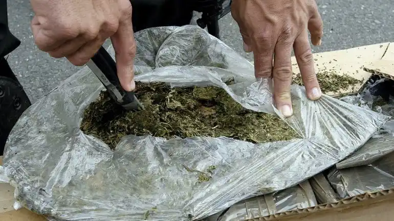 Hallan más de tres toneladas de marihuana en dos camiones en Córdoba