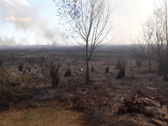 Vecinos registraron el impactante incendio en isla Los Lobos y mostraron cómo lo combatieron