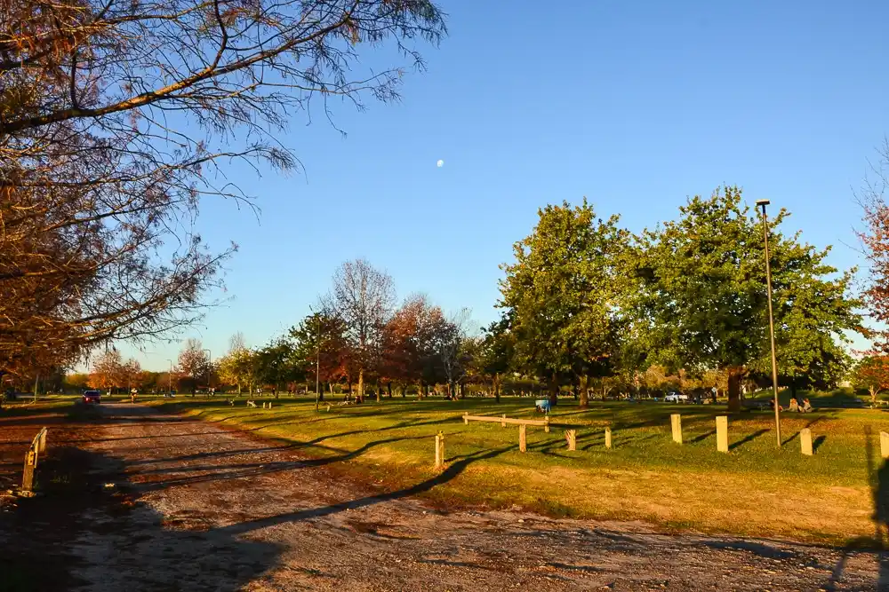 "Pará y mirá a tu alrededor"