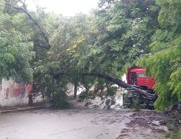 Lluvias causan estragos en varias zonas del país (+Reportes)