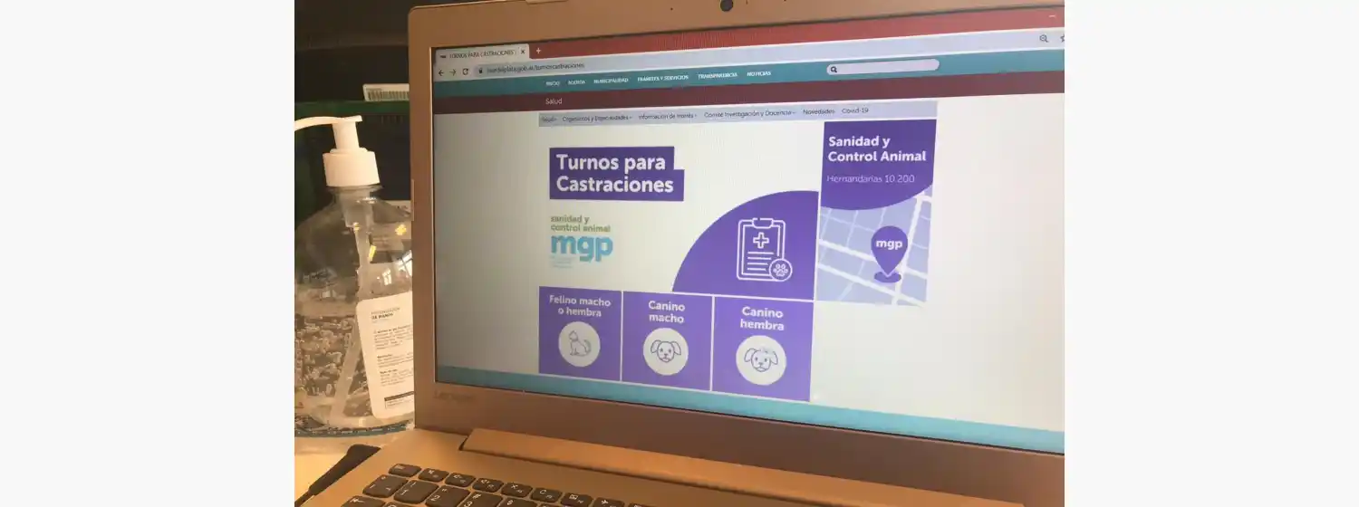 Desde este lunes, se puede solicitar turno para la castración de mascotas de manera on line