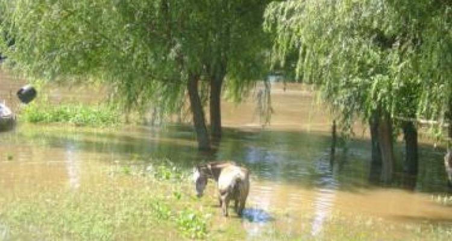 La creciente preocupa a productores y el clima pone en riesgo algunos barrios