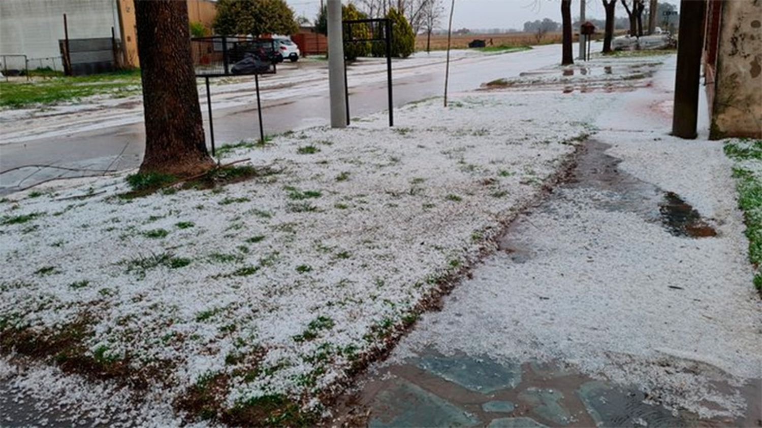 Alerta amarilla por tormentas: intensa granizada afectó a ciudades bonaerenses