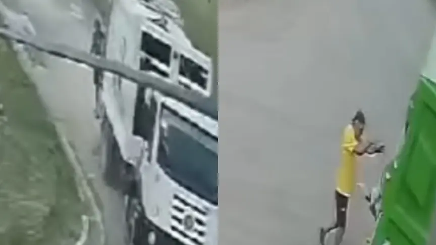 El video completo del momento en que atropellan una perra en Quequén y la arrojan al camión que recolecta la basura