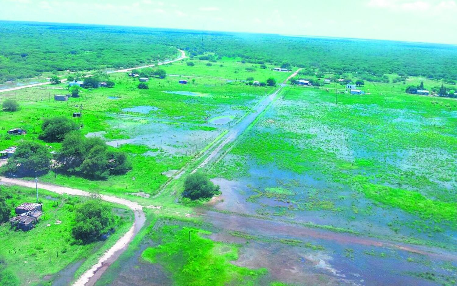 Cómo afectó la lluvia a la producción agropecuaria