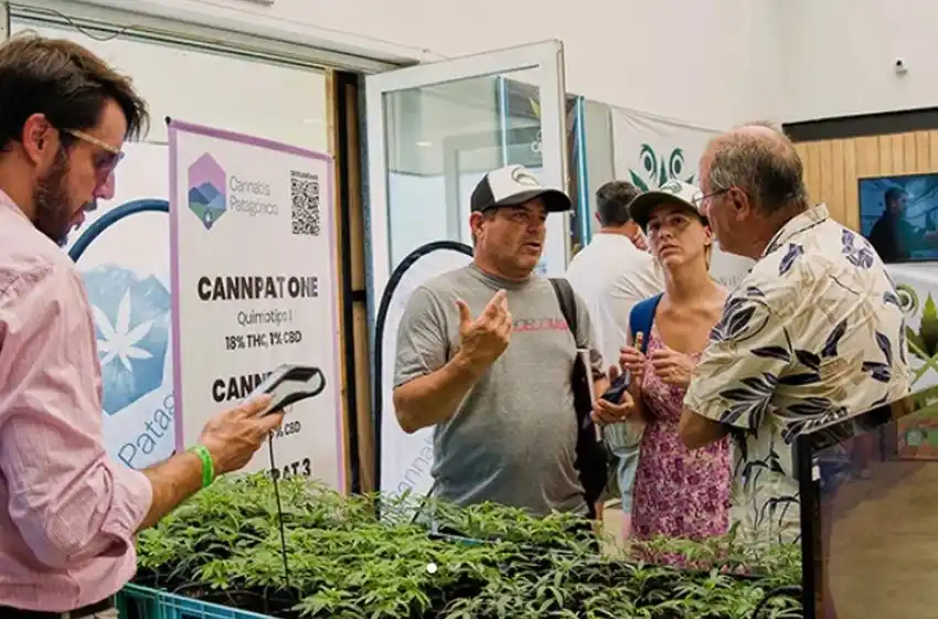 En febrero llega la segunda edición de “Costa Cannabis”