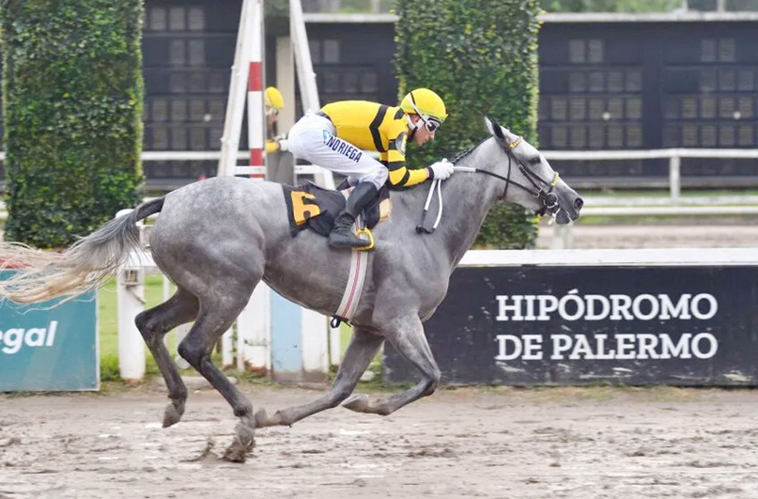 Lunes 1°: Actividad Hipódromo de Palermo