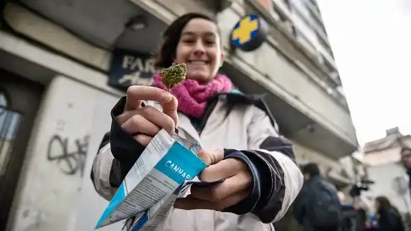 Uruguay prevé incorporar "expendios"  de marihuana 