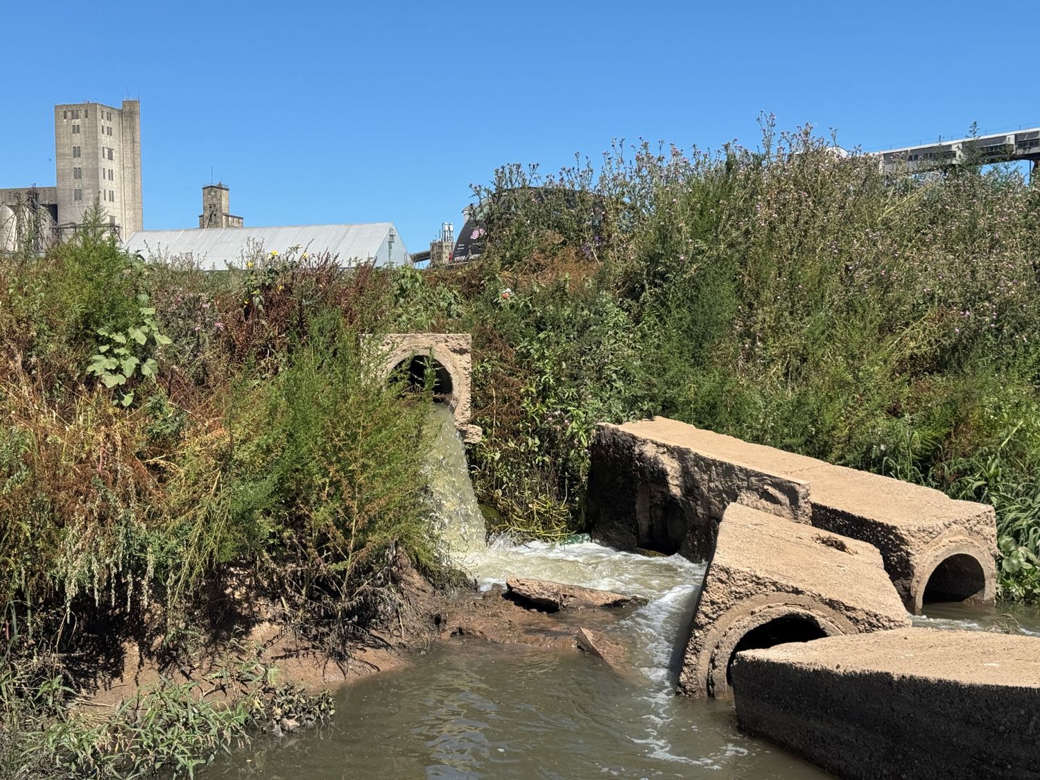 Así llegan al río los efluentes cloacales sin tratamiento alguno.