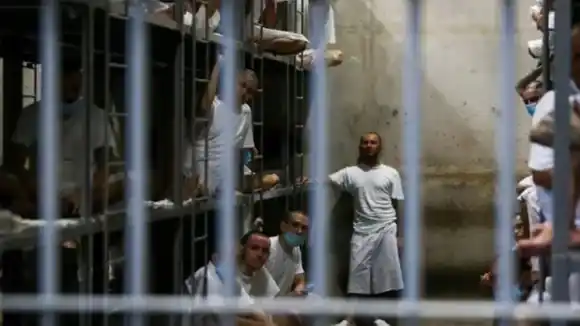 Administración Trump confirmó que envió a cuatro venezolanos a El Salvador pese a orden judicial que lo impide