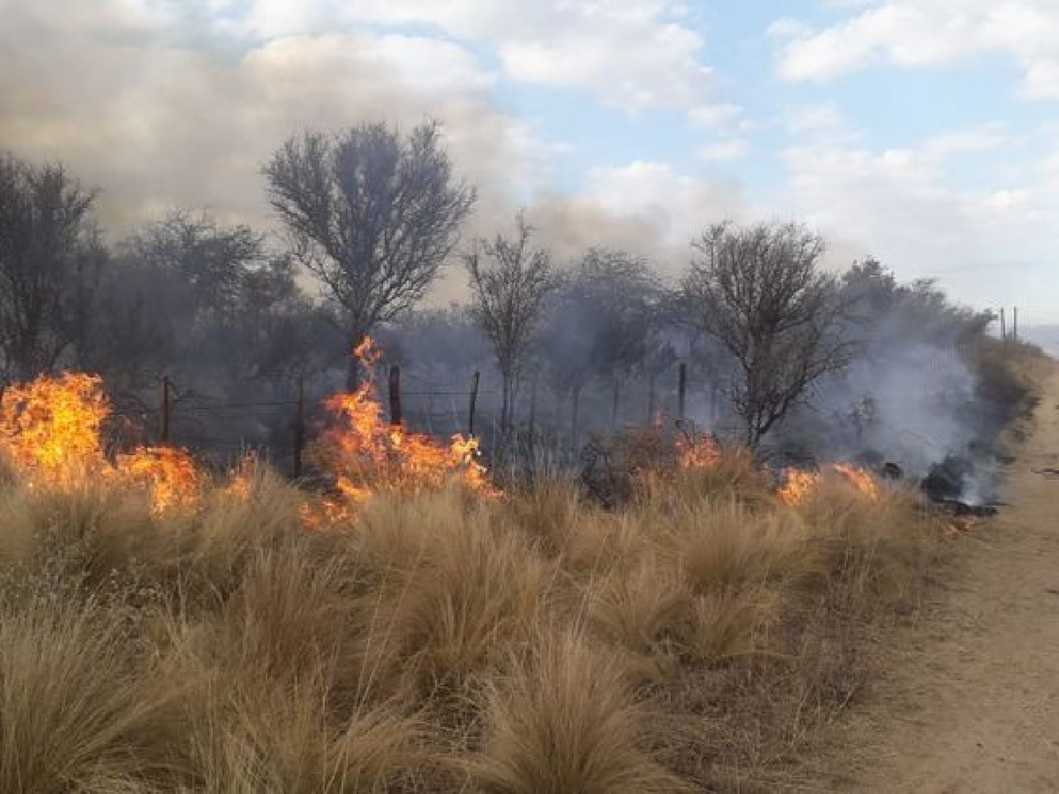 Nuevamente los bomberos trabajan en zonas complicadas por incendios de las sierras