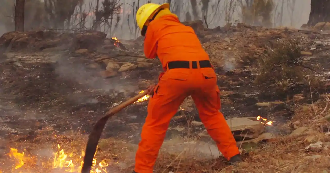 Se originaron tres focos de incendio en el Parque Lanín