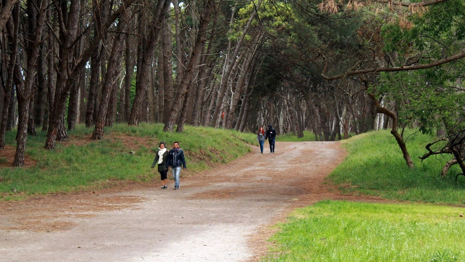 Se ofrecen actividades deportivas gratuitas para disfrutar de la naturaleza necochense