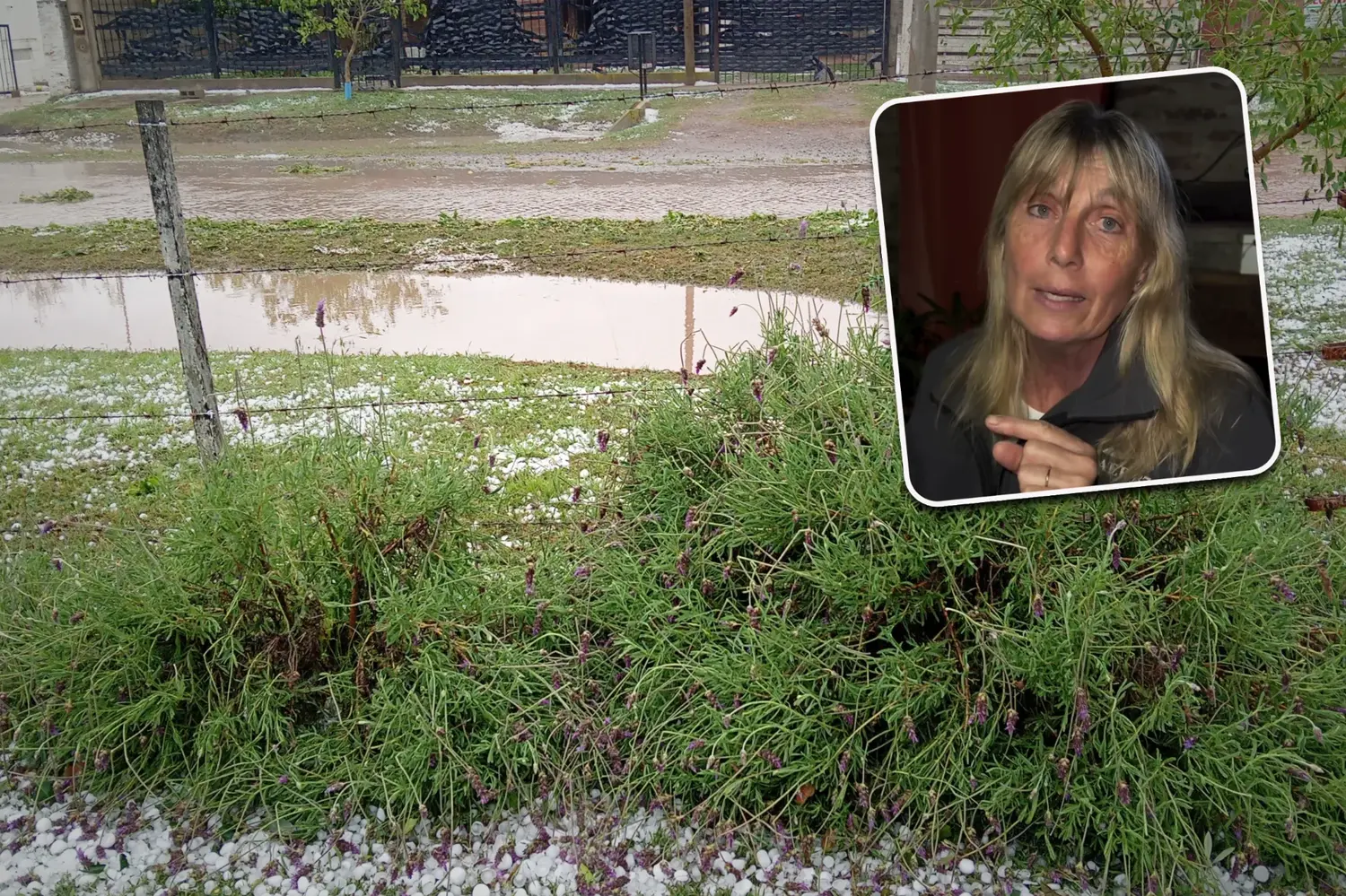 “No accedan”: Granja La Serena advierte que no está recibiendo donaciones de dinero tras el temporal