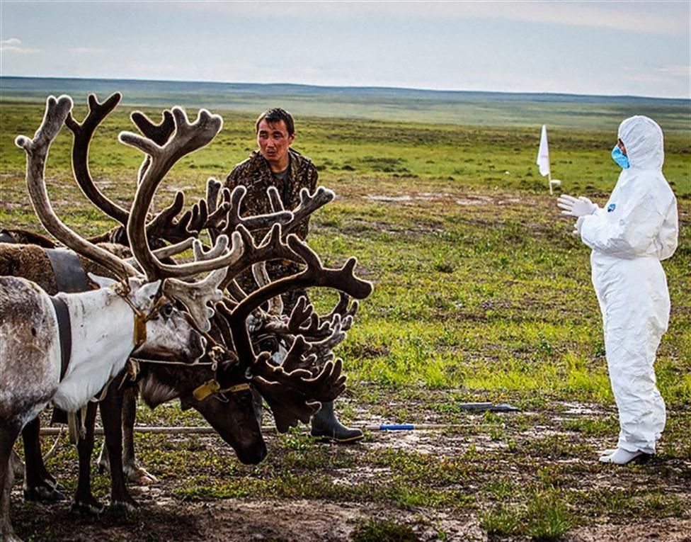 En Rusia, el cambio climático libera virus atrapados en el hielo