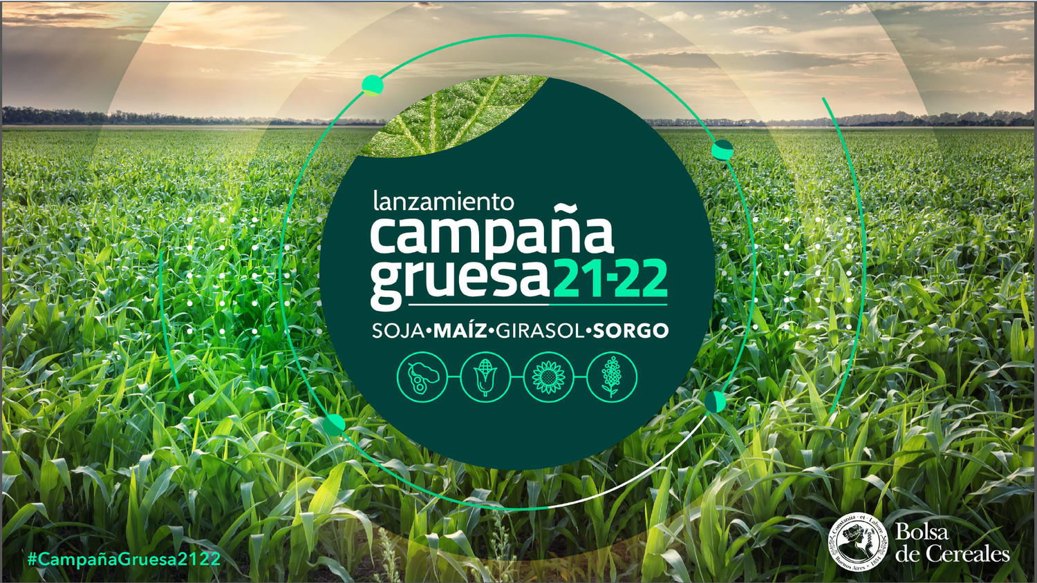 Se espera una campaña con más hectáreas, más maíz y menos soja