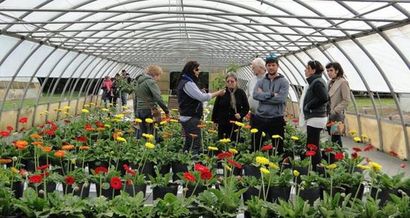 INTA: el Gobierno ajusta y en San Pedro se perdería gran parte del campo experimental