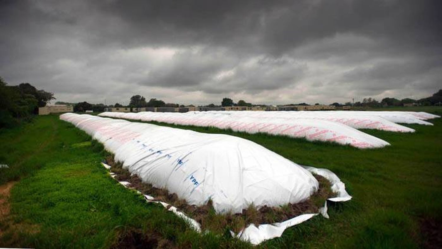 Siembran soja con la esperanza de que mejore el clima