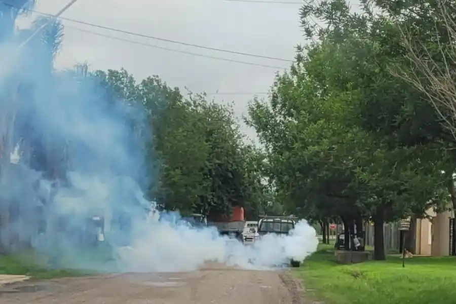 Tareas de bloqueo y rastrillaje por el caso de dengue autóctono en Sunchales